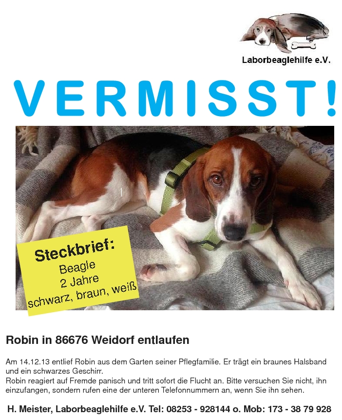 Bild anzeigen