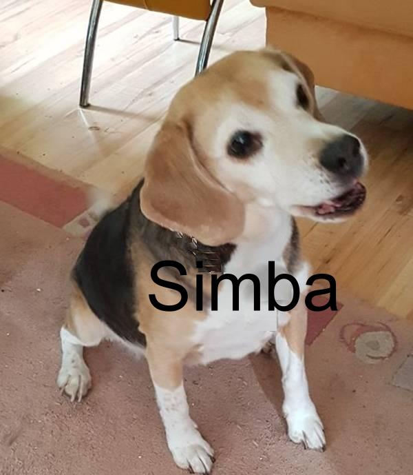 Bild anzeigen