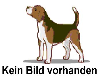 Bild anzeigen